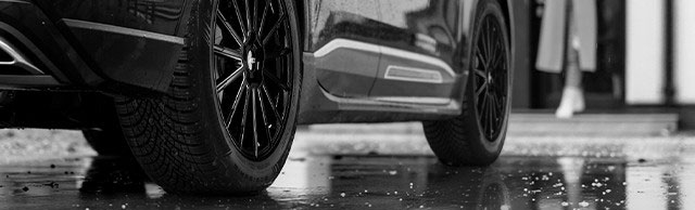 Ganzjahrsreifen von Dunlop