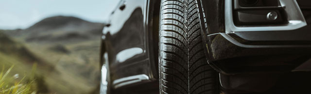 Ganzjahresreifen von Goodyear