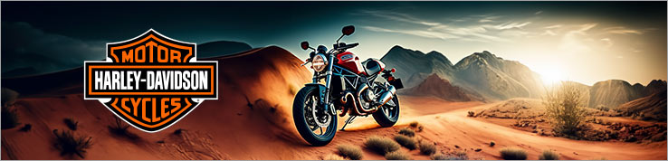 Motorradreifen für Ihre Harley-Davidson im Reifen24 Shop