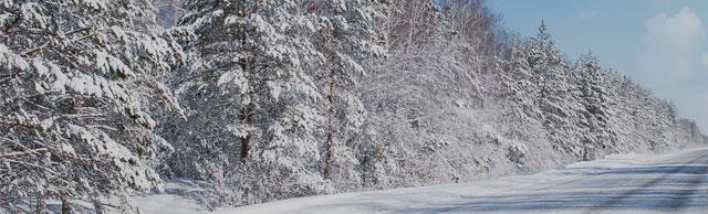 Top Nexen Winguard Sport M+S Winterreifen
