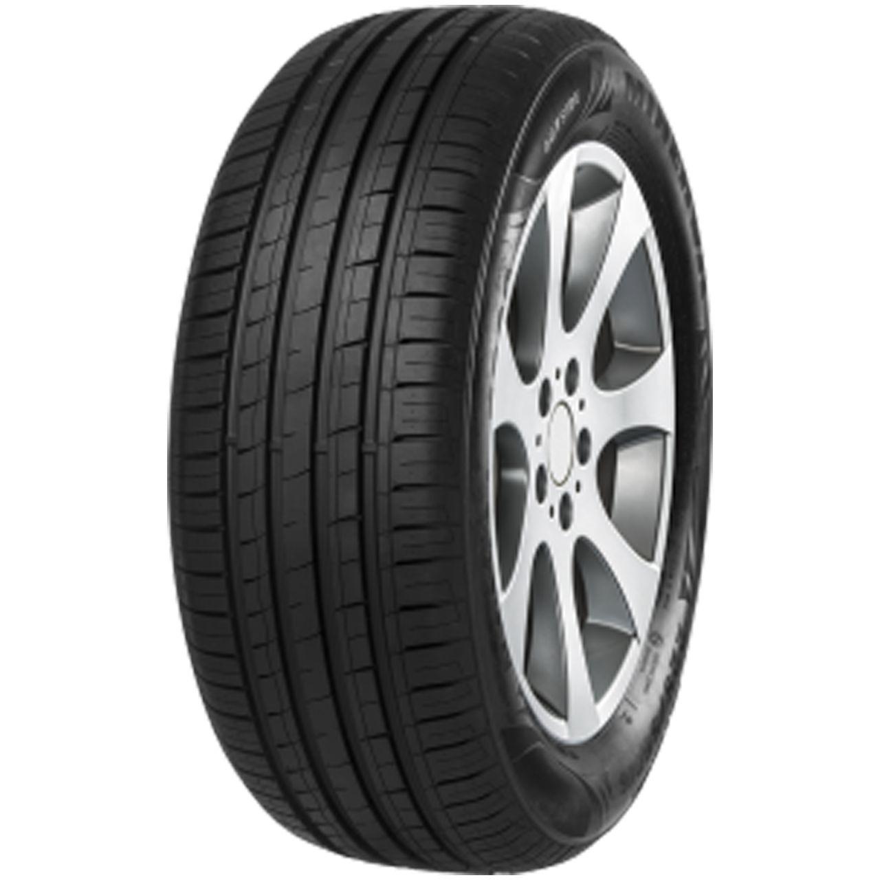 MINERVA F209 205/55R16 91V